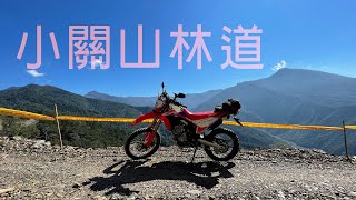 來一場森林浴－小關山林道