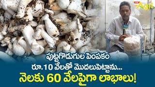 Mushroom Farming Profit | పుట్టగొడుగుల పెంపకం రూ.10వేలతో మొదలుపెట్టాను.. నెలకు 60వేలపైగా.. Tone Agri