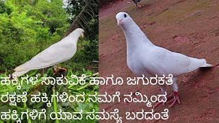 ಹಕ್ಕಿಗಳ ಸಕುವಿಕೆ ಹಾಗೂ ಜಗುರಕತೆ ರಕ್ಷಣೆ ಹಾಗೂ ಹಕ್ಕಿಗಳಿಂದ ನಮಗೆ ನಮ್ಮಿಂದ ಹಕ್ಕಿಗಳಿಗೆ ಯಾವ ಸಮಸ್ಯೆ ಬರದಂತೆ