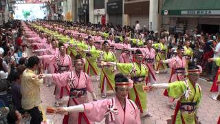 ほにや　～2012高知よさこい祭り・本祭２日目(帯屋町演舞場)