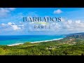 Barbados East Coast | Caribbean Travel Destinations | Barbados Island Part 1