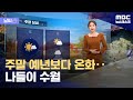 [날씨] 주말 예년보다 온화‥나들이 수월 (2024.11.08/뉴스데스크/MBC)