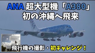 ANA 超大型機「A380」初の沖縄へ飛来！！総2階建ての超大型旅客機エアバスA380「フライング・ホヌ」┃Naha Airport┃Airbus A380