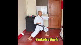 Posiciones básica de karate shotokan