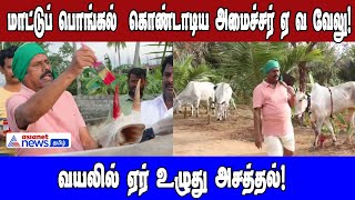 மாட்டுப் பொங்கல்  கொண்டாடிய அமைச்சர் ஏ வ வேலுவயலில் ஏர் உழுது விவசாயம் செய்து அசத்தல்!