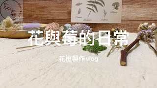 花與莓的日常-花框製作vlog