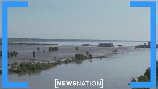 Ukrainian dam breach: Who is to blame? | NewsNation Now