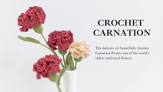 How to Crochet Carnation Flower - Friendly Tutorial by NHÀ LEN