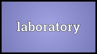 Laboratory Meaning