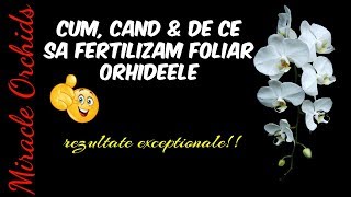 Cum, cand si de ce trebuie sa fertilizam foliar orhideele | Fertilizarea orhideelor