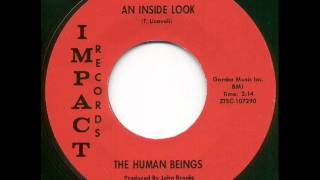 Human Beings - an inside look