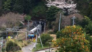 夕月の歌(昭和27年)伊藤久男