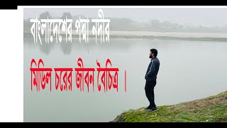 বাংলাদেশের  পদ্মা নদীর মিডিল চরের জীবন বৈচিত্র  | Middle Char Rajshahi Bangladesh