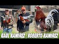 Roberto Ramirez Spring Grove Farm In California USA | Farm Visit