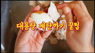 계란 100개이상 삶아야 할때, 잘까지는 꿀팁 공유합니다^^ 자영업자의 협력.