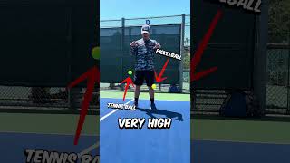 What is Dinking in Pickleball? #pickleballtips #pickleball #shorts