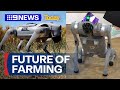 Is robotics the future of farming? | 9 News Australia