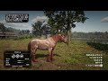 【rdr2】アルデンヌ 3種