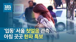 '입동' 서울 첫얼음 관측…아침 곳곳 한파 특보 / SBS