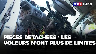 Enquête - Pièces détachées : les voleurs n’ont plus de limites｜TF1 INFO