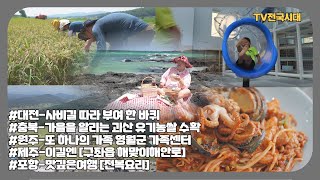 [TV전국시대] 8월29일(목) 전체방송 다시보기