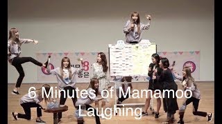 Mamamoo : Laughing Complication