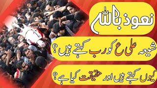 Shia Ali ko Rab kehty hain|Haqeeqat Kia hai?