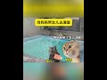 当妈妈带女儿去澡堂 猫meme 我和我的猫 猫meme小剧场 cat 迷恋 funny 萌宠 貓 cute 萌寵 治癒小貓 搞笑