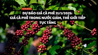 Dự báo giá Café 21/1/2025: Giá cà phê trong nước giảm, thế giới tiếp tục tăng