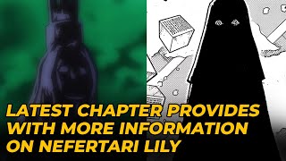 One Piece Nefertari Lily's Mistake, Explained