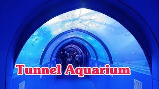 Tunnel Aquarium Pathanamthitta | pathanamthitta robotics fest #theoceans #pathanamthittatunnel