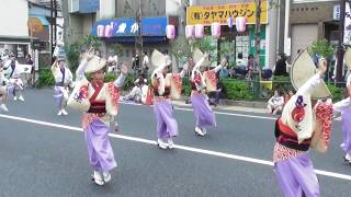 巴連・パレード☆葛飾堀切菖蒲まつり2017