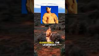 Roger: The Aussie Giant Kangaroo That Shocked the World! #australia #youtubeshorts #shorts #viral