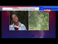 operation gajaraj underway in nilagiri of balasore kalinga tv