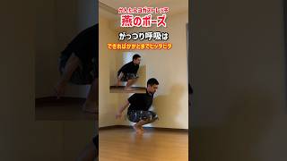 朝や寝る前におすすめ！かんたんヨガストレッチ【燕のポーズ】