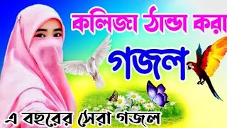 bangla gazal, বাংলা গজল সেরা গজল, new gojol, bangla song, viral video, new gojol, Islamic gazal, গজল