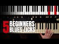 5 EASY Hammond Organ Blues Licks for Beginners