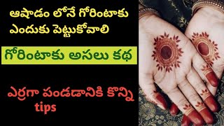 importance of mehendi during ashadamasam / story of gorintaaku /గోరింటాకు కథ /ఎర్రగా పండాలంటే tips 👌