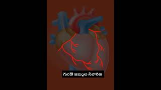 గుండె జబ్బుల నివారణ/Heart Disease Prevention  #healthsecrets #heartdisease