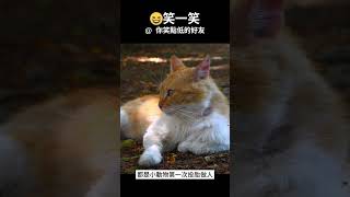 這樣聽起來就很可愛了...| 笑一笑，每天都開心 發給需要笑容的好友吧  #Shorts #笑話 #迷因 #每日笑話