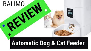 Balimo Dog Cat Automatic Pet Feeder FUN unBox Friday - FUNBOX