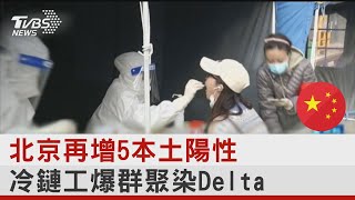 北京再增5本土陽性 冷鏈工爆群聚染Delta｜TVBS新聞