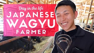 Day in the Life of a Japanese Wagyu Beef Farmer