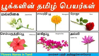 Flowers Names in Tamil | பூக்களின் தமிழ் பெயர்கள்|மலர்கள் பற்றி அறிந்துகொள்வோம் |Flowers Tamil Words