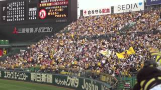 2013.05.25阪神タイガースVS北海道日本ハム戦（阪神タイガーススタメン１－９）