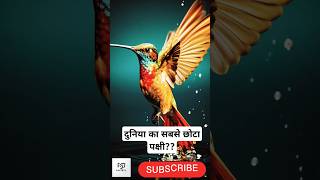 llदुनिया का सबसे छोटा पक्षी कोन सा है! 🐦🌸  🤔 #NatureFacts #facts #shorts #youtubeshorts #trending