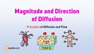 Principles of Diffusion and Flow | Magnitude and Direction of Diffusion