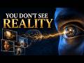 The Illusion of Reality: What Are You Actually Seeing?
