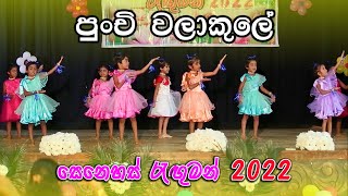 පුංචි වලාකුලේ  | Punchi Walakule | සෙනෙහස් රැගුමන් 2022