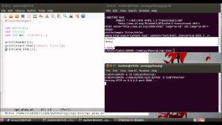 CGI Scripting in Perl and Python: Part 03